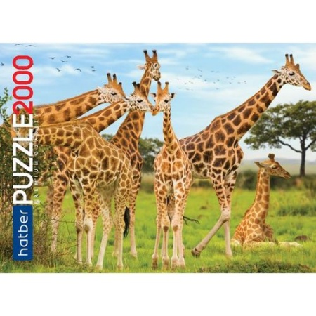 пазлы 2000 дет. жирафы (premium) 2000пз1_19321, (хатбер-м) ()